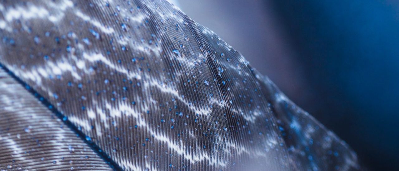 Advanced Composites in Modern Vessel Construction