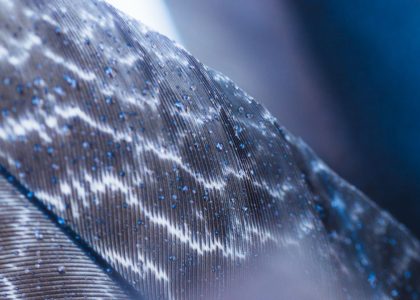 Advanced Composites in Modern Vessel Construction